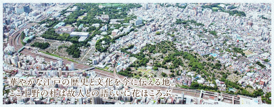 寛永寺霊園